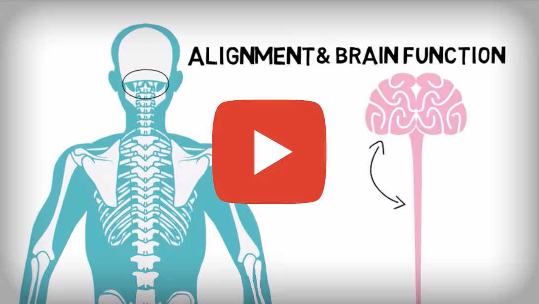 Alignment & Brain Function
